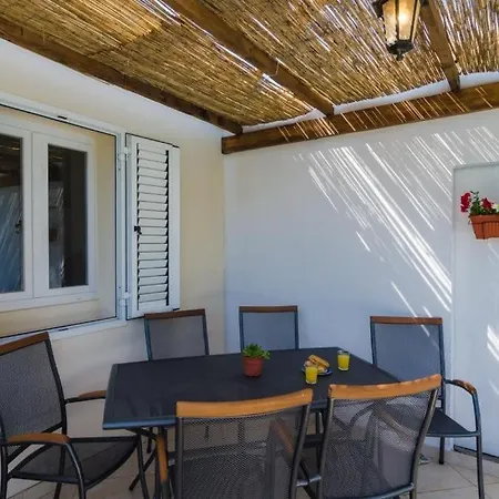 Willa Dalmatian Gem *