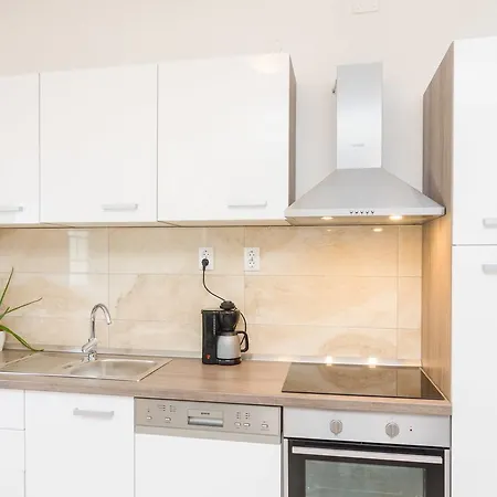 Dalmatian Gem * Gruda