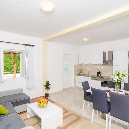 Dalmatian Gem Willa *