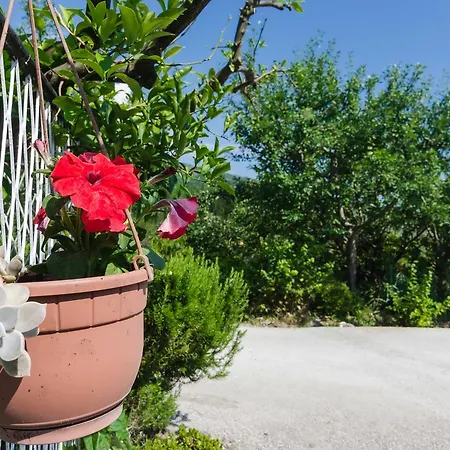 Dalmatian Gem Villa Gruda