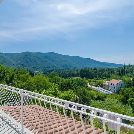 Dalmatian Gem Willa Gruda