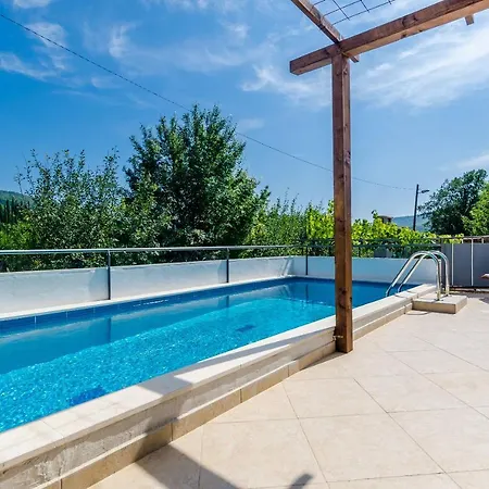 Willa Dalmatian Gem *