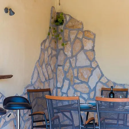 Willa Dalmatian Gem Gruda