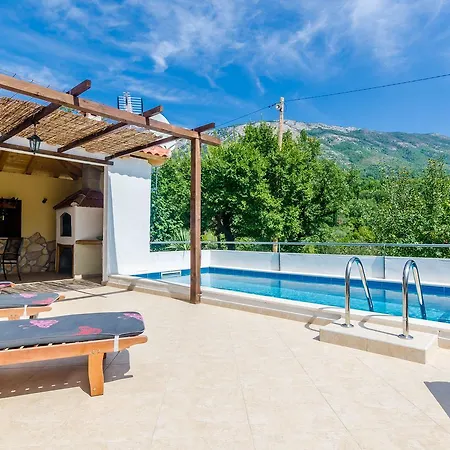 Dalmatian Gem * Gruda