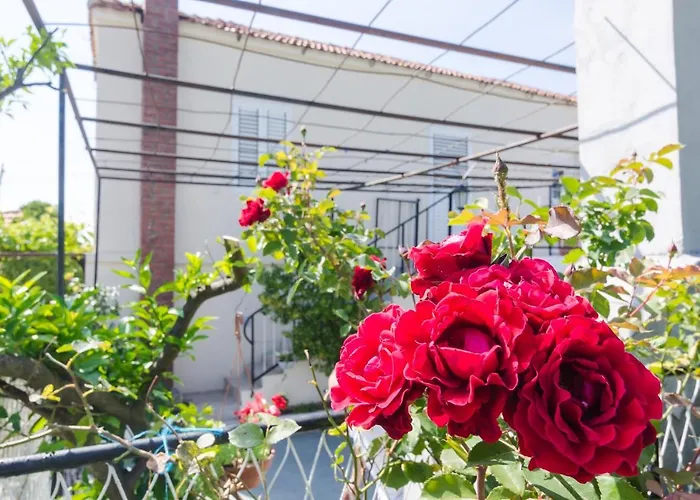 Вилла Dalmatian Gem *