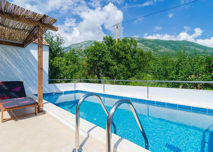 Dalmatian Gem * Груда