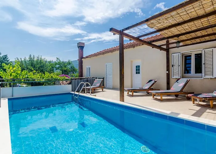 Dalmatian Gem * Груда